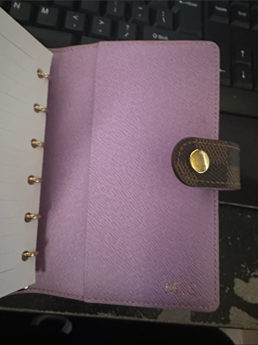 Louis Vuitton Brown Damier Ebene Illustrated Small Agenda Cover - Picture 4 of 9